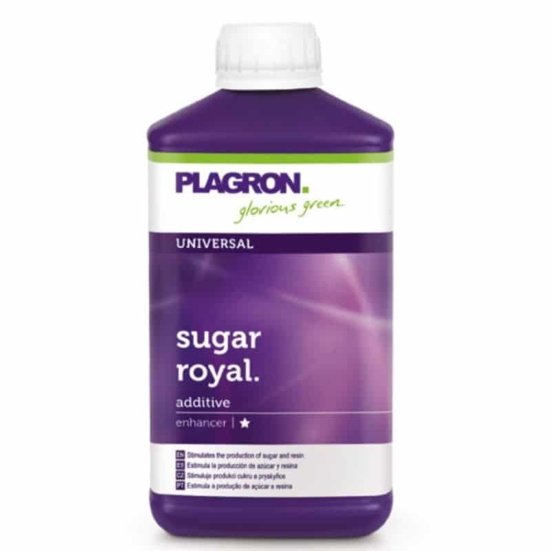 Sugar Royal van Plagron: Versterk de bloemontwikkeling en suikerproductie van je planten met dit krachtige supplement.