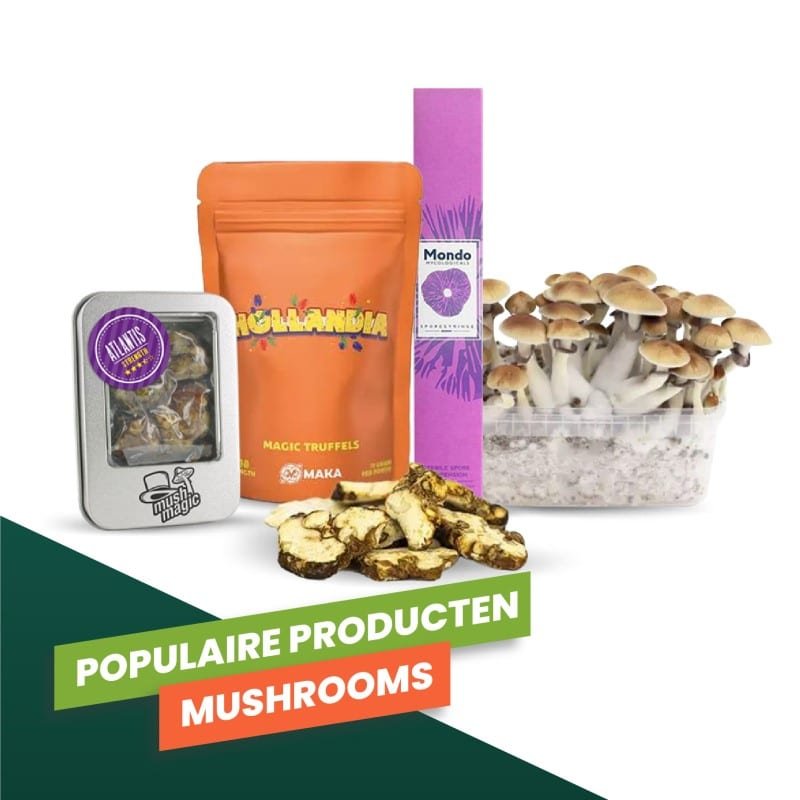 Populaire Producten Mushrooms